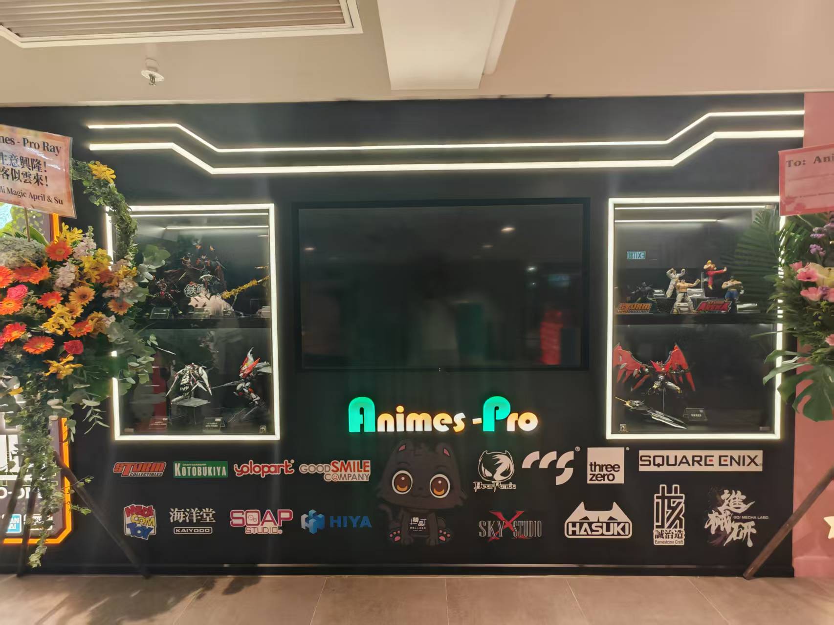 D2——Animed pro